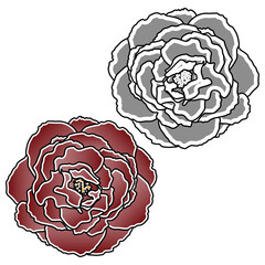 two roses or peony buds for print or tattoo