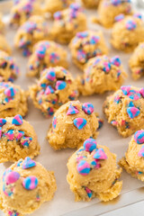 Unicorn chocolate chip cookie