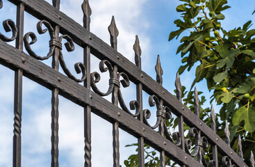 Wrought Iron Fence. Metal fence
