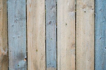 Weathered wooden panels as a background. Rough wood structure.