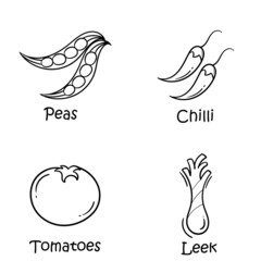 a collection of hand drawn illustrations with a vegetable theme, consisting of peas, chilies, tomatoes and scallions in bright and fresh colors