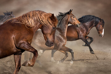 Fototapeta na wymiar Horse herd galloping on desert
