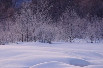 冬景色 白馬村　霧氷