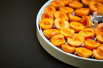 fruit slices on a plastic food deyhydrator with shallow depth of field