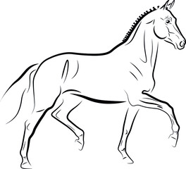 Fototapeta na wymiar Horse trotting black ink vector