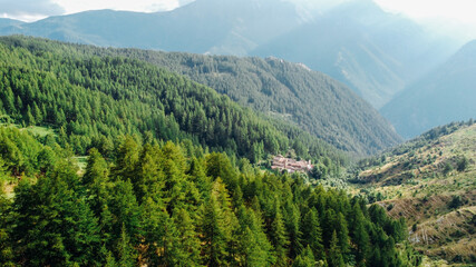 Aerial view of green fields and coniferous forest in the mountains. Italian Alps.