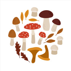 Hand-drawn set of forest mushrooms and leaves. White mushroom, chanterelle, amanita. Concept of fall, autumn, nature, forest plants, tree foliage. Colored vector illustration, isolated on white. 