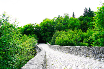 Fototapeta na wymiar Path over an old Roman bridge. Stone bridge in the middle of nature.