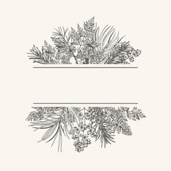 Сhristmas card with bouquet with fir and pine branches, fern and leaves. Botanical illustration. Vector holiday card. Engraving style. Black and White. © Anna