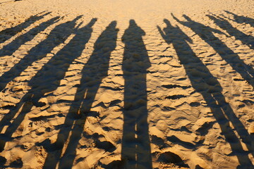 Ombres sur le sable