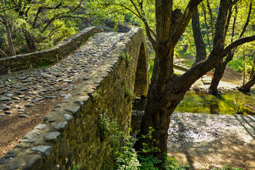 At the end of the 15th century, Queen Catherine attracted the Venetians to the construction of fortresses in Cyprus. Thus, bridges for the export of iron ore and copper appeared in Troodos     