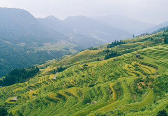 Fototapeta na wymiar Beautiful terrace rice field with small houses in China