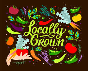 Locally grown. Vector illustration for locavore food. Vegetables with Lettering with handwright calligraphy. Tomatoes, green peas, peppers, carrots.