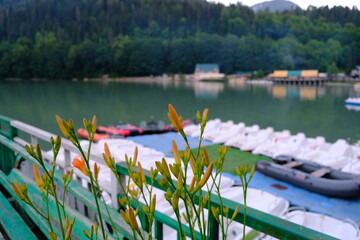 Fototapeta na wymiar Natural landscape, Rit's lake in Abhazia