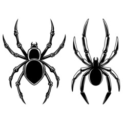 Set of Illustrations of spider. Design element for logo, label, sign, emblem, poster. Vector illustration