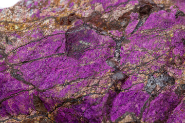 Macro mineral stone purpureus, (purple) purpurite in the breed a white background