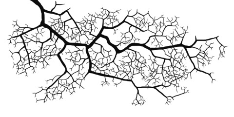 Vector drawing of a tree branch without leaves on a white background