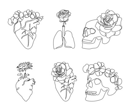 Human internal organs with flowers one line set art. Continuous line drawing of heart lungs, skull and bloom.