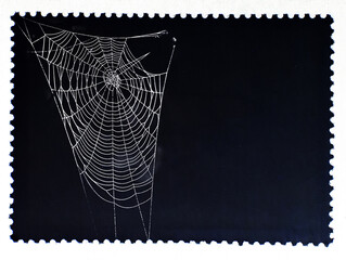 Spiderweb isolated on black postage stamp. Cobweb frame. Halloween party design. Vector black and white illustration