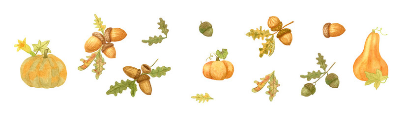 Watercolor autumn set with pumpkins, oak leaves and acorns. Design for stickers, icons, stationery, postcards and banners.