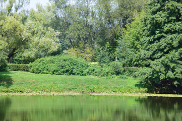 Green grass and beautiful trees on the shore of the pond