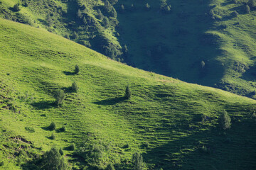 High altitude grassland mountain landscape
