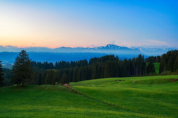 Fototapeta na wymiar Typical Allgäu landscape before sunset. Pastures and forest under colorful sky. Snowy mountains in the background. Allgau Alps, Bavaria, Germany