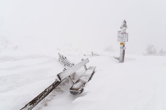 View of the Bieszczady Mountains from the top of Smerek, Smerek, Połonina Wetlińska, Wetlina