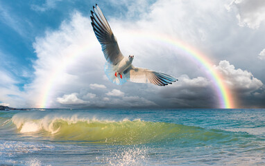 Seagulls flying over the stormy sea and power sea wave amazing rainbow in the background