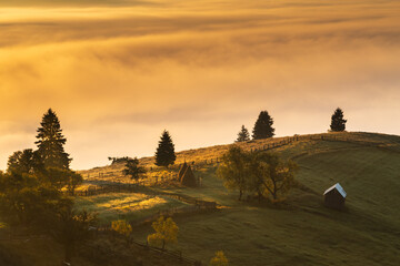 Mountain landscape with morning fog, at the forest edge, in Bukovina, Romania