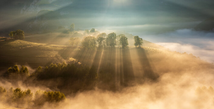 Mountain landscape with morning fog, at the forest edge, in Apuseni Mountains, Romania
