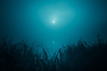 Fototapeta na wymiar Night mystical scenery. The full moon reflects in the still water of the foggy river with reeds in the foreground.