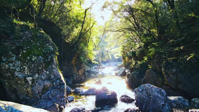 【空撮】木漏れ日が射しこむ神秘的な渓流を後進しながら撮影。緑の木々に囲まれた川の岩場。