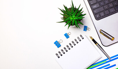 On a white desktop, a laptop, a notebook, a potted plant, a pen and paper clips. Workplace with copy space. Business concept