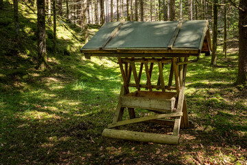 Naklejka premium Überdachte leere Futterkrippe aus Holz im idyllischen Wald im Sommer