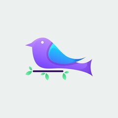Colorful bird logo design template