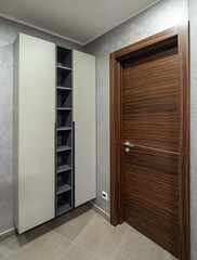 Modern interior. Wooden door. Empty shelves.