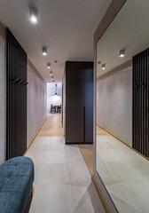 Modern interior of hallway in apartment. Mirror on wall. Grey wardrobe