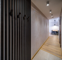 Modern interior of hallway in apartment. Home design.