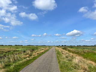 Fototapeta na wymiar Road through farmland in Friesland