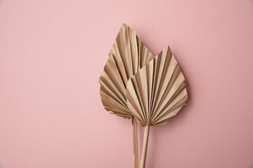 Dried tropical palm tree leaf minimal decoration on a pastel pink background