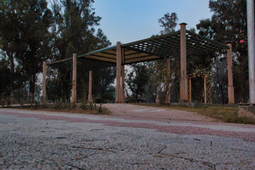 &ldquo;In every change, in every falling leaf there is some pain, some beauty. And that's the way new leaves grow.&rdquo;