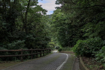 薄暗い曲がりくねった道の先に見える青空と白い雲