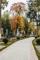 Path at Lychakiv Cemetery in Lviv city at autumn.