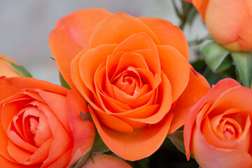 a bouquet of orange roses