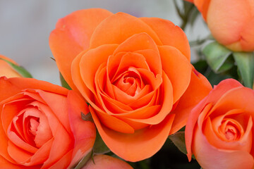 a bouquet of orange roses