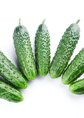 Set of fresh whole cucumbers on white background, food pattern. Garden cucumber wallpaper backdrop design
