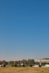 “In every change, in every falling leaf there is some pain, some beauty. And that's the way new leaves grow.”