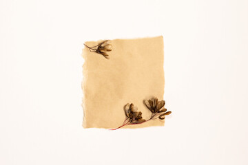 autumn minimalist composition of dried plants. autumn concept. minimalism in pastel colors. top view. a sheet of paper for the text. square
