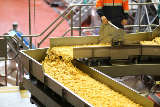 Potato chips production at the factory